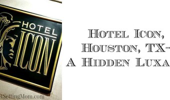 Hotel ICON, old-world luxury meets modern Houstonian high life. #travel